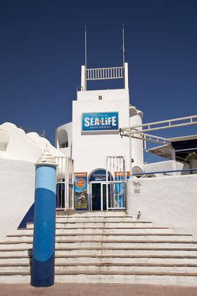 Sealife Aquarium Port Benalmadena Malaga Province Editorial Stock Photo ...