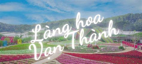 Làng hoa Vạn Thành: Check-in thiên đường hoa tại Đà Lạt