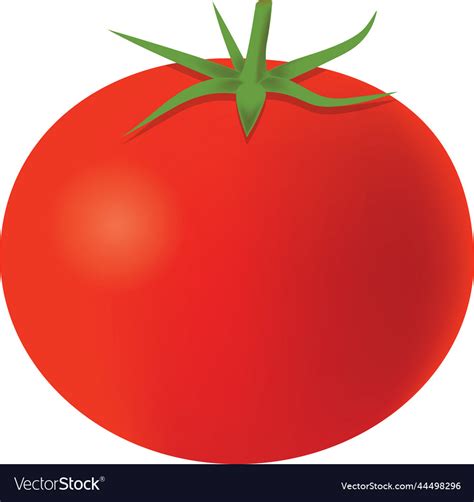 Clipart tomato Royalty Free Vector Image - VectorStock