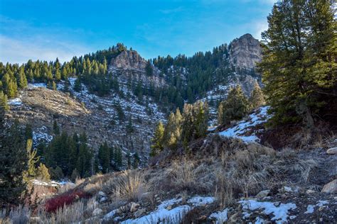 Logan Canyon Scenic Byway – Logan Canyon, Utah | The Trek Planner