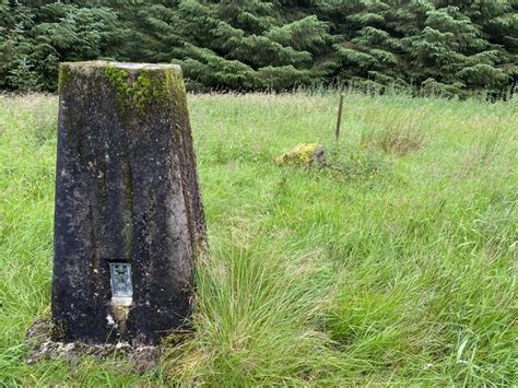 Grange Fell Trig Point Flush Bracket... © thejackrustles cc-by-sa/2.0 :: Geograph Britain and ...