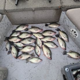 Lake Lewisville Fishing Report - FishingBooker