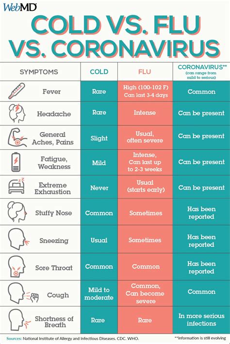 Cold And Flu Symptoms 2024 - Calli Coretta