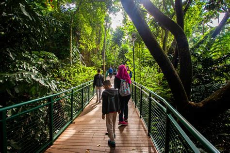 Babakan Siliwangi Bandung: Jam Buka, Tiket, dan Wisata Sekitarnya ...