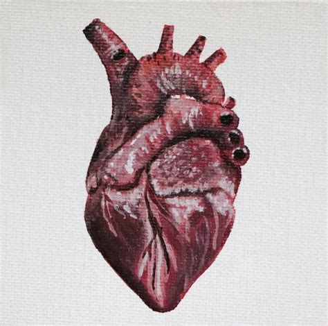 Tiny Anatomical Heart Painting by Annabelle Fandozzi | Saatchi Art