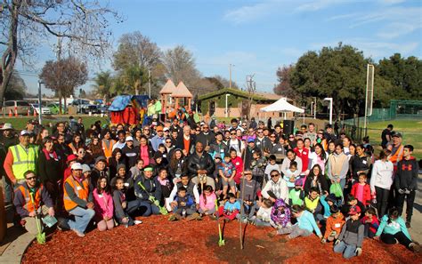 Service, celebration, and how trees create community - Canopy : Canopy