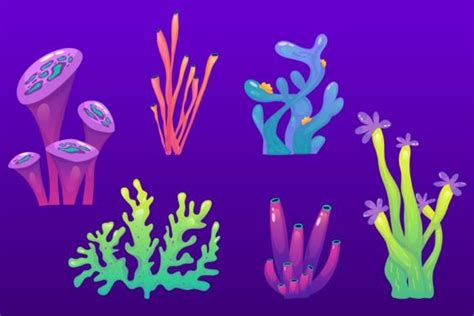 Coral Reef Underwater Set with Algae Graphic by smirnova.26051994 ...