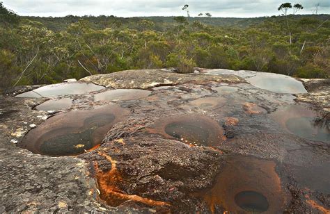 jamais Torches avoir confiance dharawal national park expédition neige ...