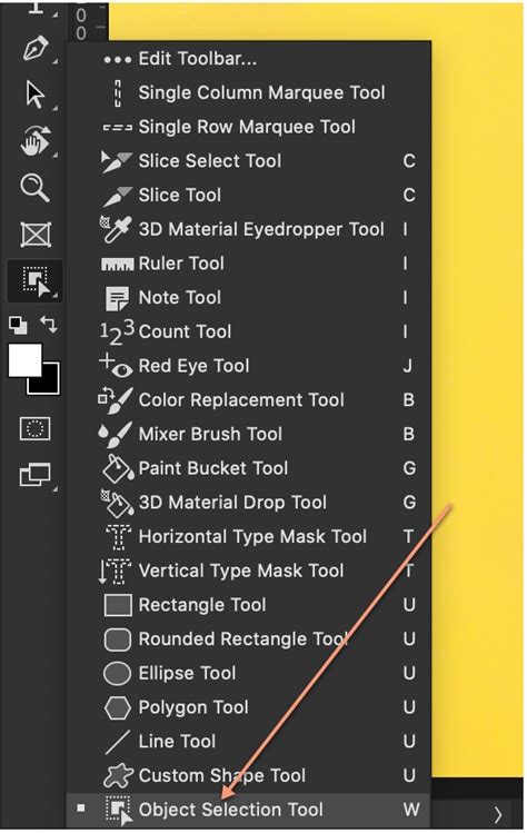 Everything about the Object Selection Tool in Photoshop - TrickyPhotoshop