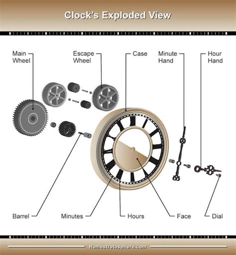 The Main Parts of a Wall Clock | Pendulum clock, Clock, Clock parts