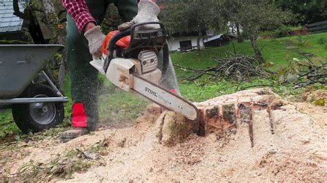 Diy Stump Removal Youtube : Tree Stump Removal With 3 Simple Tools ...