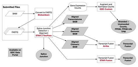 Bioinformatics Pipeline: mRNA Analysis - GDC Docs