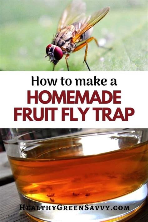 Homemade Fruit Fly Trap with Apple Cider Vinegar to Get Rid of Fruit Flies