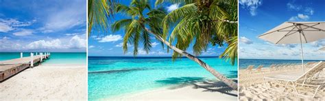 The 8 Best Beaches in Freeport, Bahamas | Carnival Cruise Line