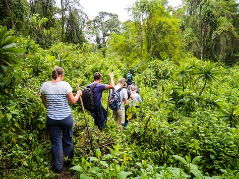 3 Days Budget Mount Bisoke Crater Lake | Wilderness Explorers Africa