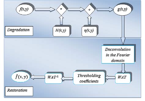 Steps of the restoration process. | Download Scientific Diagram