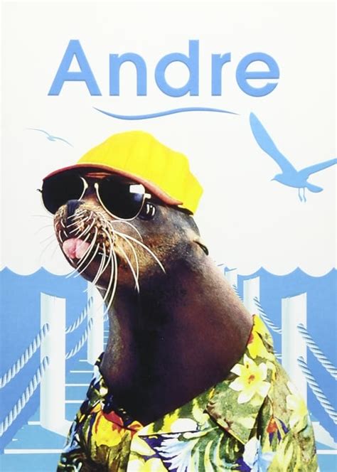 [REPELIS VER] Andre, una foca en mi casa (1994) Gratis en Español - Ver ...