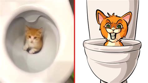 😂Cat Memes: Skibidi Cat Toilet and Funniest Dogs (updated)😅 Trending Funny Animals 😹 - YouTube