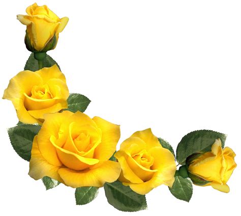 Pale yellow rose clipart 20 free Cliparts | Download images on Clipground 2024