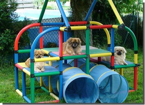 Best 25+ Dog Playground ideas on Pinterest | Dog backyard, Dog park and Outdoor dog