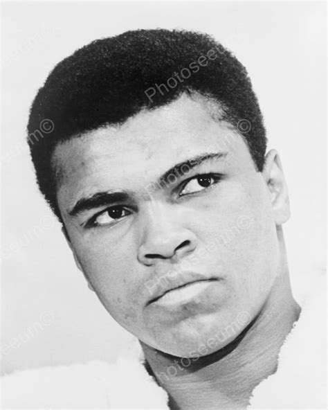 Muhammad Ali Youthful Portrait 8x10 Reprint Of Old Photo Citation Mohamed Ali, Mighty Mike ...