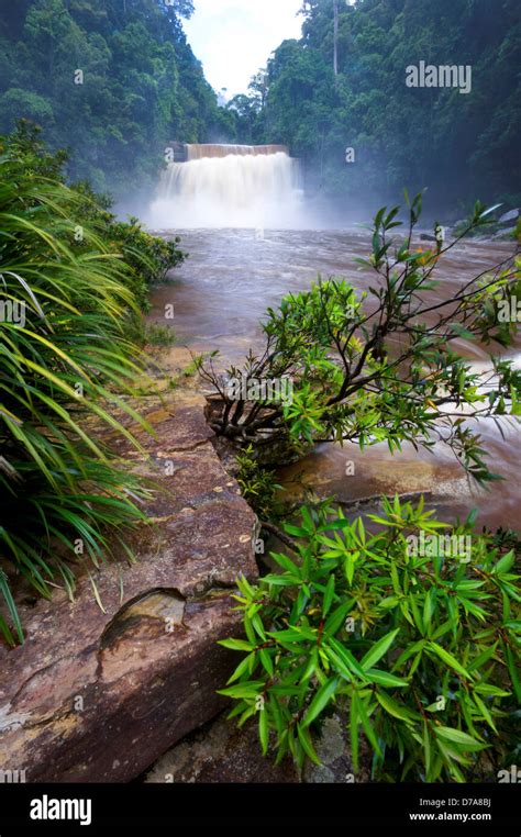 Maliau Falls on Maliau River Maliau Basin Conservation Area Sabah State Island Borneo Malaysia ...