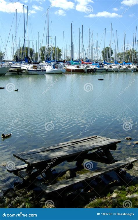 Picnic in the Lake stock photo. Image of marina, ducks - 103790