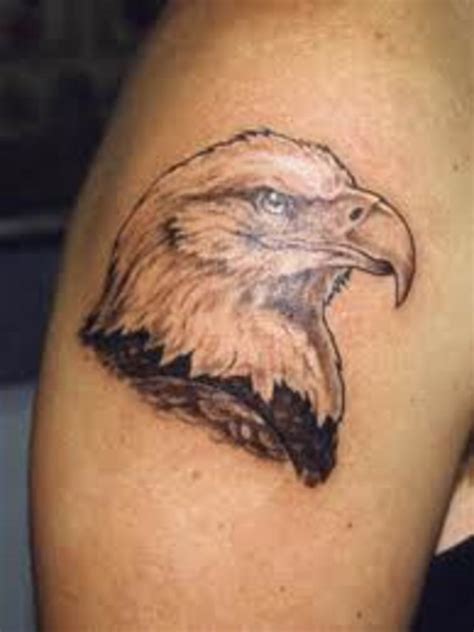 Bald Eagle Tattoos And Meanings-Bald Eagle Tattoo Designs And Ideas | HubPages