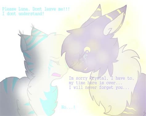 Pokemon mystery dungeon, goodbye by Lunartic-Firefly on DeviantArt