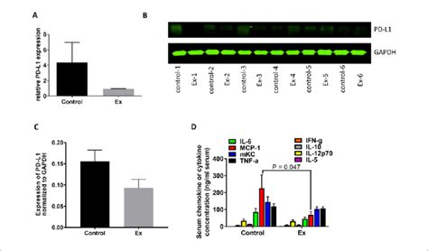 PD-L1 expression in LLCs and serum chemokine and cytokine levels. (A ...