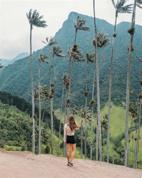 The Ultimate Valle de Cocora Hiking Guide | Discover Discomfort