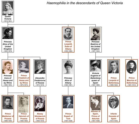 Haemophilia_of_Queen_Victoria_-_family_tree_by_shakko - History of ...