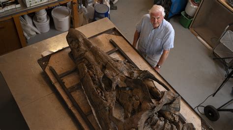 Giant skull of prehistoric sea monster found preserved on England's ...