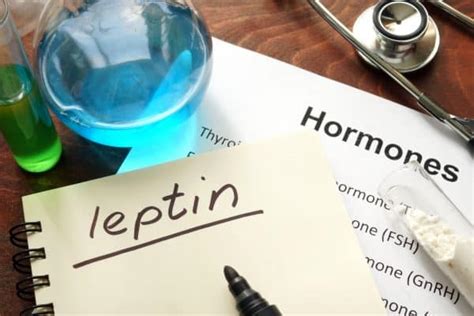 How Leptin Could Help You Lose More Weight Naturally - Nutritioneering