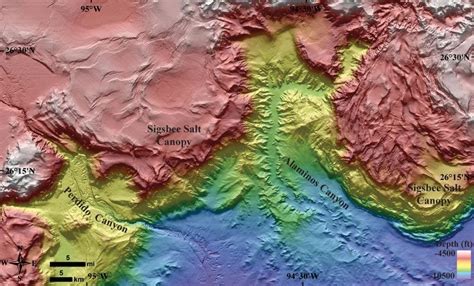 Government Releases 1.4-Billion-Pixel Map Of The Gulf Of Mexico Seafloor