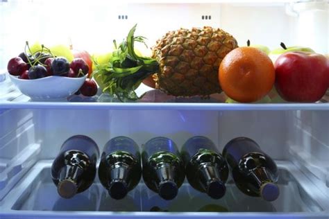 Einstein co-invented the Refrigerator! | Einstein, Albert einstein, Thought experiment