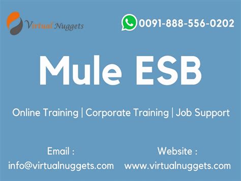 Mule ESB Online Training