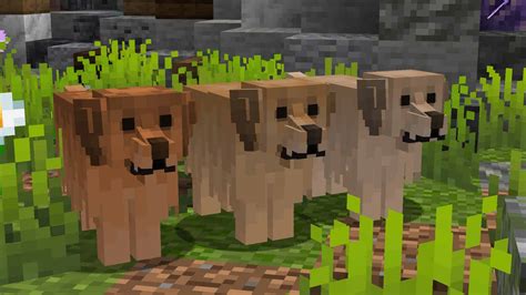 Minecraft resource packs 1.13 realistic animals - bxequik