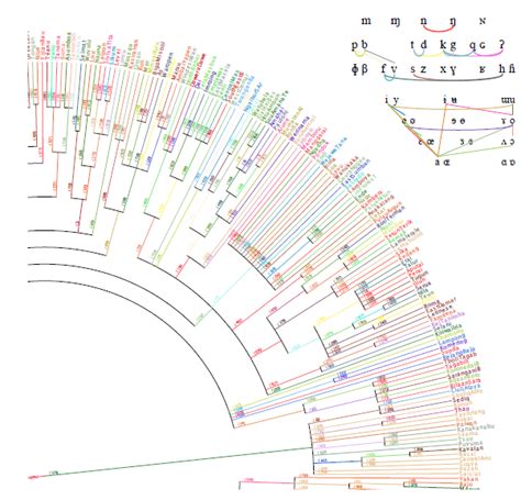 Family Tree for Austronesian Languages (from PNAS) | Language, Language ...