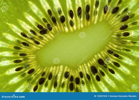 Kiwi Slice stock photo. Image of juicy, close, exotic - 13832104