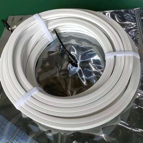 41 Meters UCS 512 H4L-20*20 Neon Has Been Sent to Singapore - Leading China Pixel LED Manufacturer
