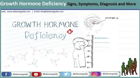 Growth Hormone Deficiency Signs, Symptoms, Diagnosis and More - Lab ...