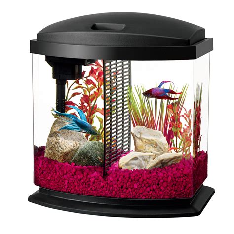 Betta Fish Tank Bowl Aquarium Kit 2.5 Gallon with Divider for 2 Bettas LED Lit | eBay