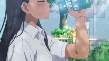 Ijiranaide Nagatoro Nagataro GIF - Ijiranaide Nagatoro Nagataro Anime ...