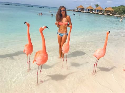 Best places to visit in Aruba | What to do in Aruba | One happy island