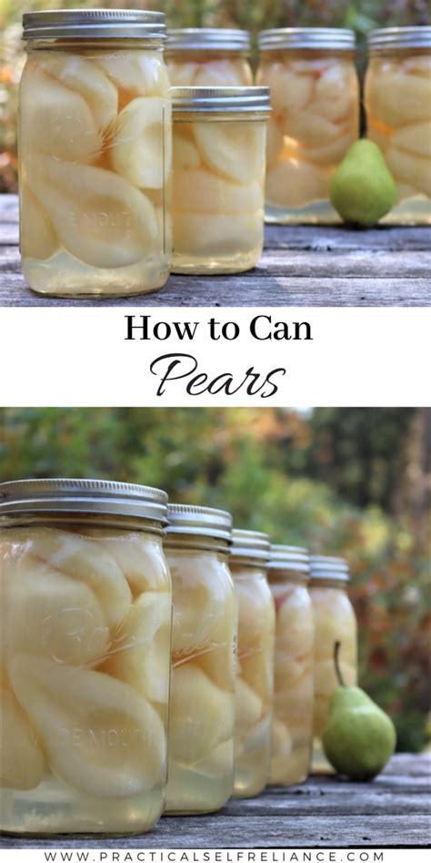 Canning pears – Artofit