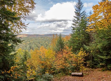 Algonquin Provincial Park