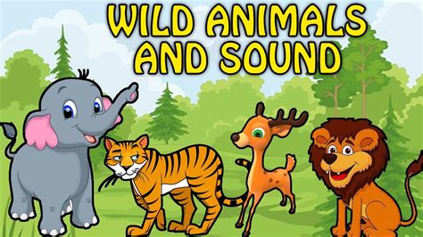 Learning Wild Animals Names For Kids | Animal Series For Kids | Preschool Learning Videos For ...