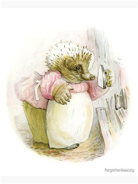 "Mrs Tiggy Winkle - Beatrix Potter" Apron for Sale by forgottenbeauty | Redbubble