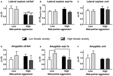 Gene expression analyses of the serotonin transporter (slc6a4 ...